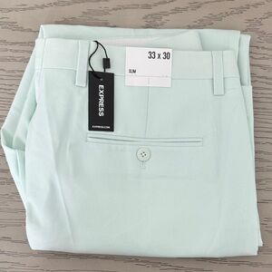 Express Light Green Men's Dress Pants